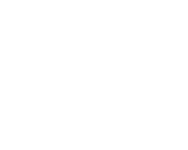 Orbizorb